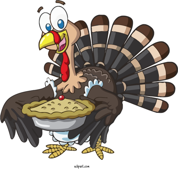 Free Holidays Turkey Cartoon Bird For Thanksgiving Clipart Transparent Background