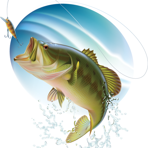 Free Fish Fish Perch Fin Clipart Clipart Transparent Background