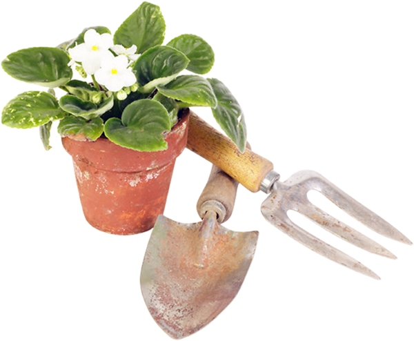 Free Gardening Plant Flowerpot Clipart Clipart Transparent Background