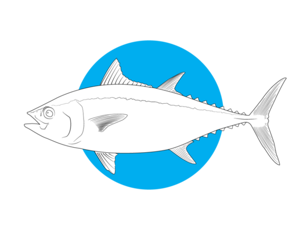 Free Fish Shark Swordfish Fish Clipart Clipart Transparent Background