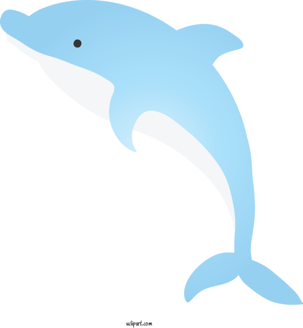Free Animals Bottlenose Dolphin Dolphin Fin For Dolphin Clipart Transparent Background