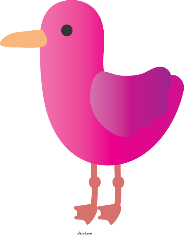 Free Animals Pink Bird Beak For Duck Clipart Transparent Background