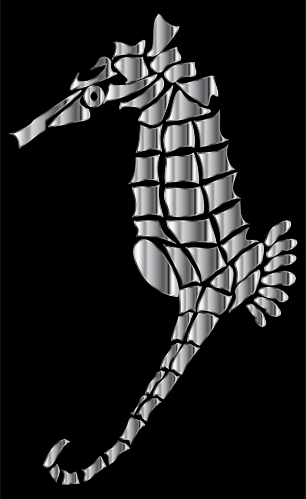Free Seahorse Black And White Seahorse Skeleton Clipart Clipart Transparent Background