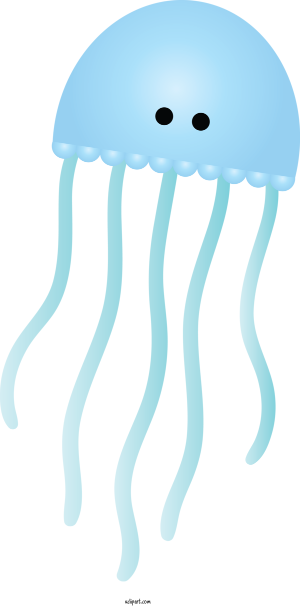 Free Animals Jellyfish Turquoise Cnidaria For Jellyfish Clipart Transparent Background