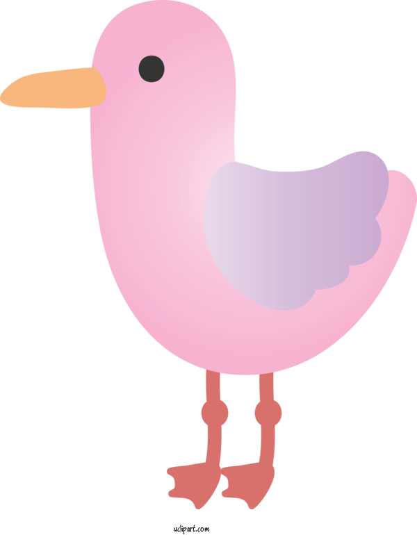 Free Animals Bird Pink Beak For Duck Clipart Transparent Background