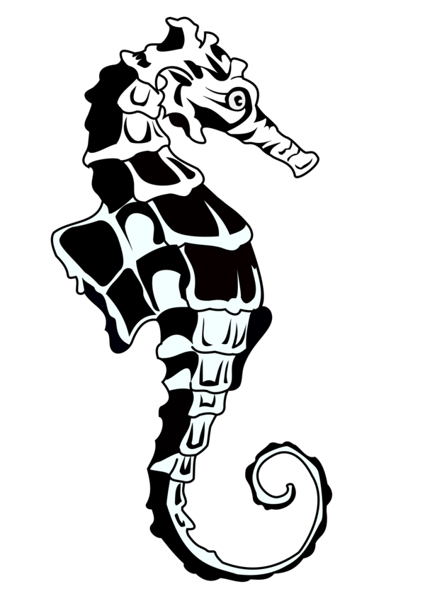 Free Seahorse Black And White Head Joint Clipart Clipart Transparent Background