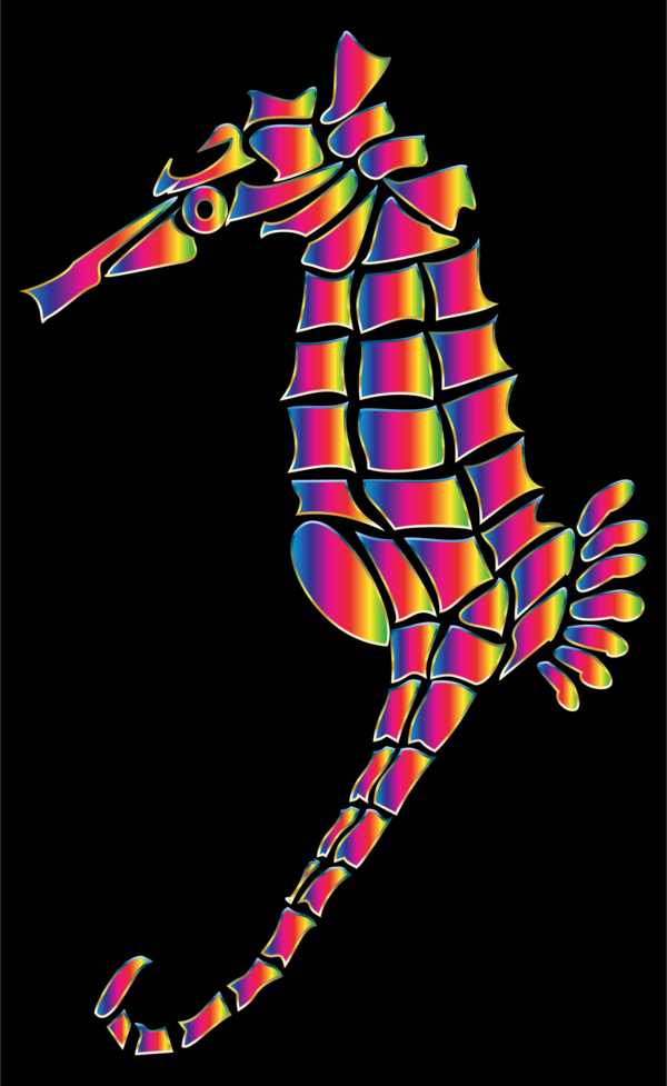 Free Seahorse Seahorse Line Symmetry Clipart Clipart Transparent Background
