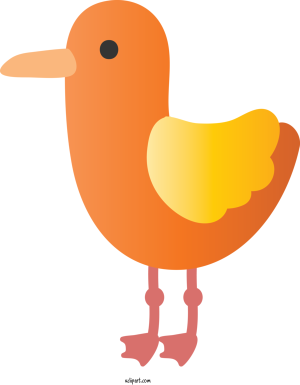 Free Animals Bird Beak Orange For Duck Clipart Transparent Background
