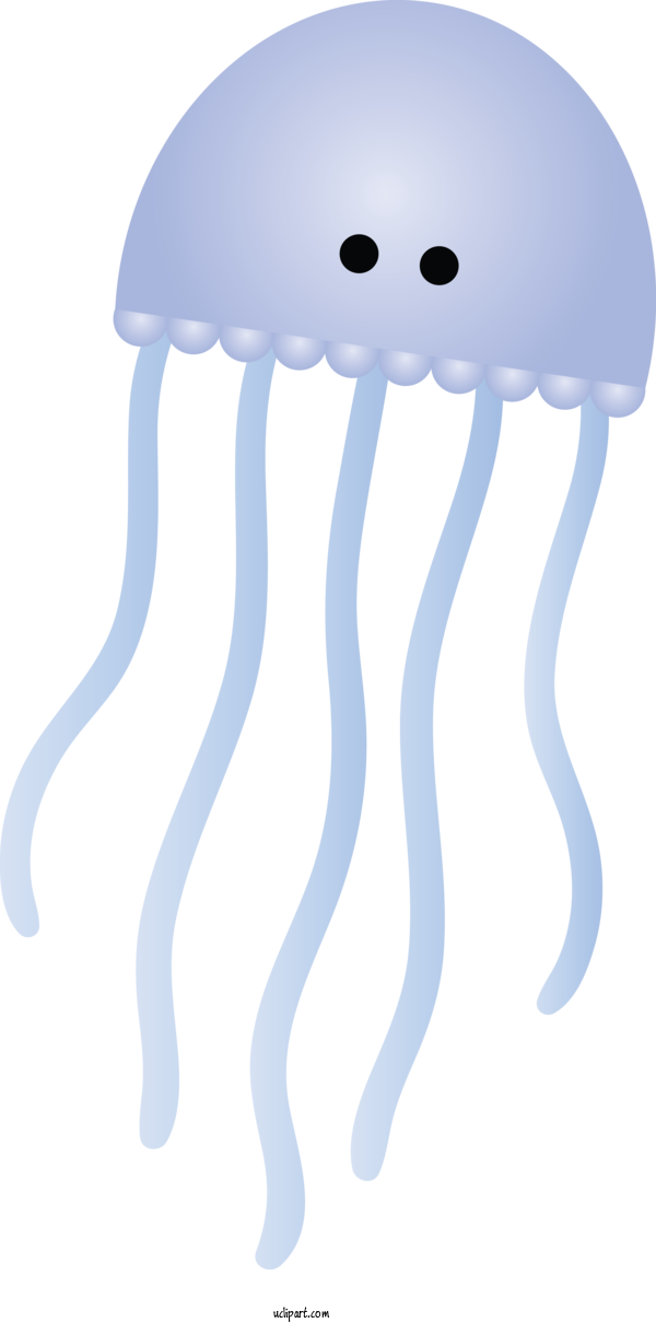 Free Animals Jellyfish Cnidaria Table For Jellyfish Clipart Transparent Background