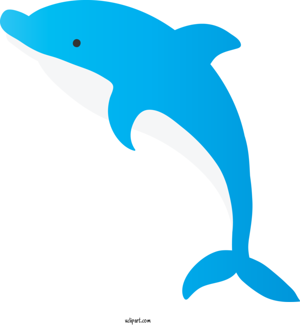 Free Animals Bottlenose Dolphin Fin Dolphin For Dolphin Clipart Transparent Background