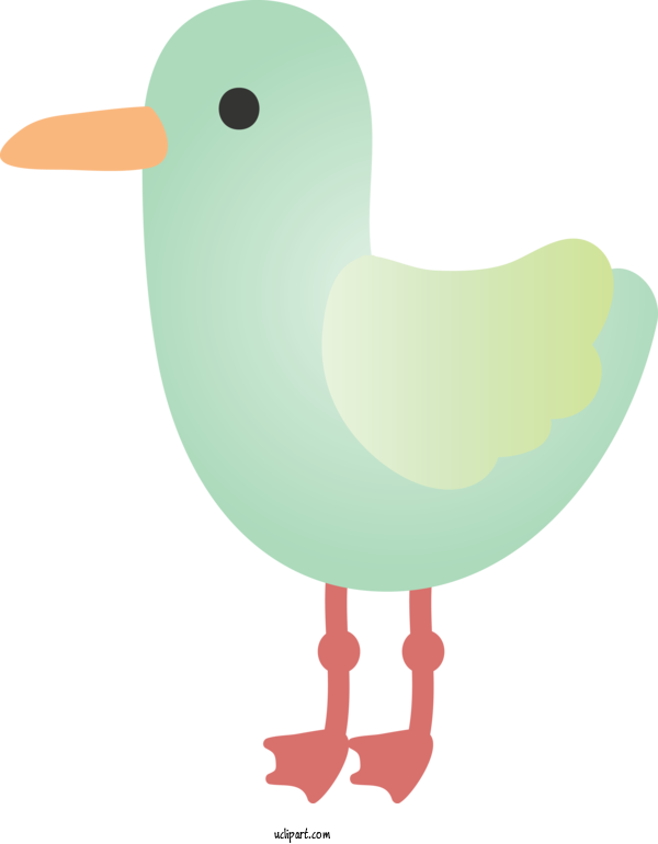 Free Animals Bird Beak Duck For Duck Clipart Transparent Background
