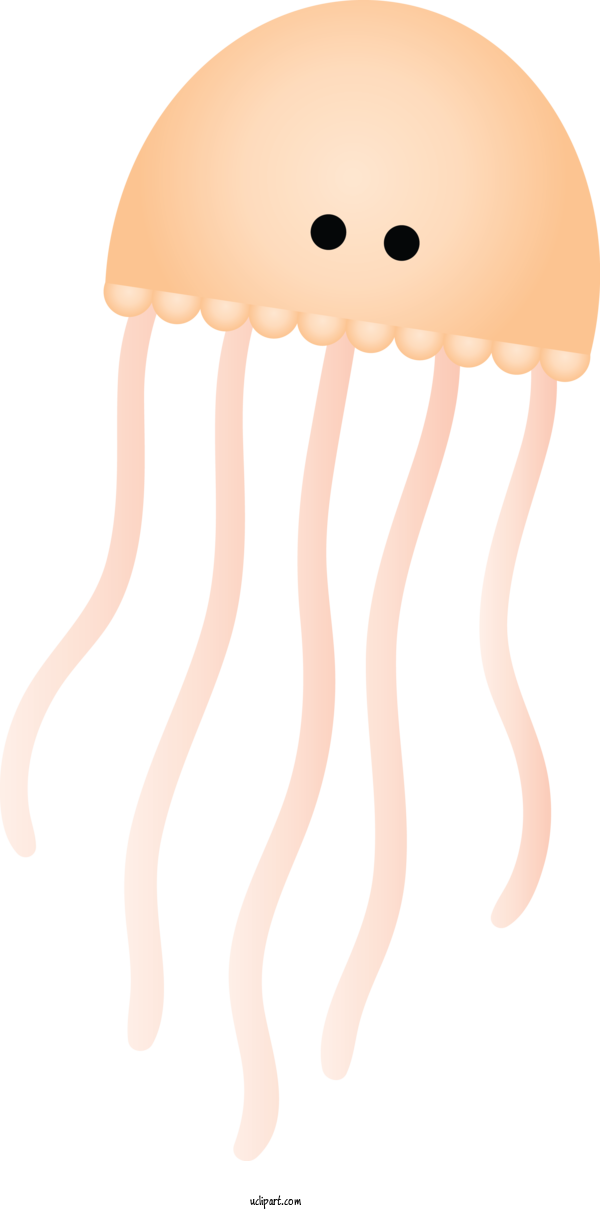Free Animals Jellyfish Cnidaria Beige For Jellyfish Clipart Transparent Background