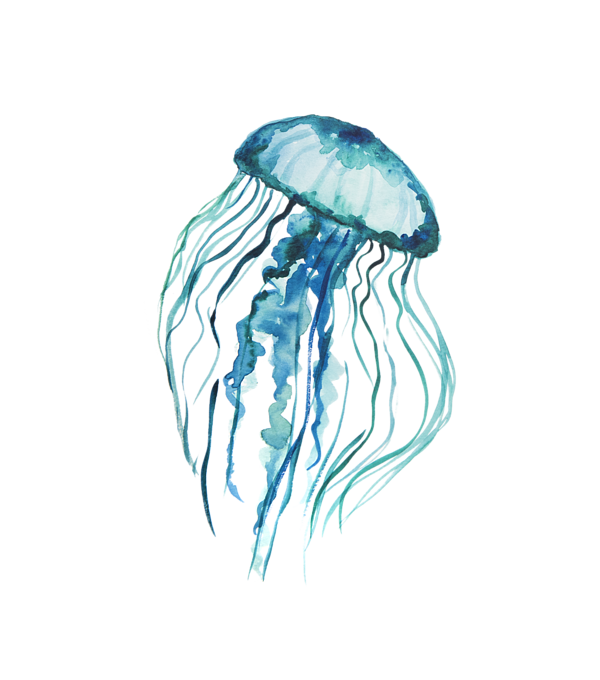Free Jellyfish Jellyfish Aqua Turquoise Clipart Clipart Transparent Background