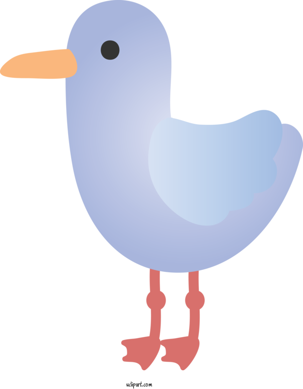 Free Animals Bird Beak Seabird For Duck Clipart Transparent Background