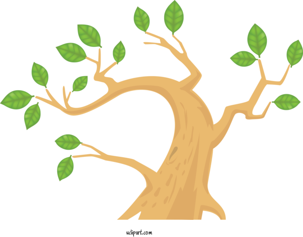 Free Nature Branch Tree Plant For Tree Clipart Transparent Background