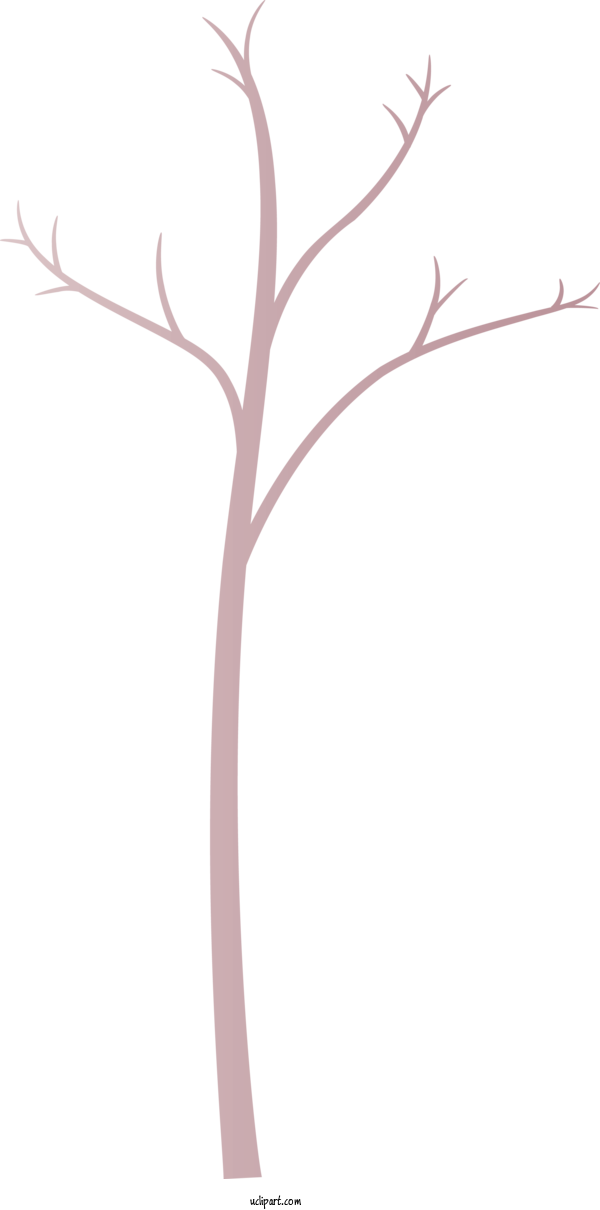 Free Nature Branch Tree Twig For Tree Clipart Transparent Background