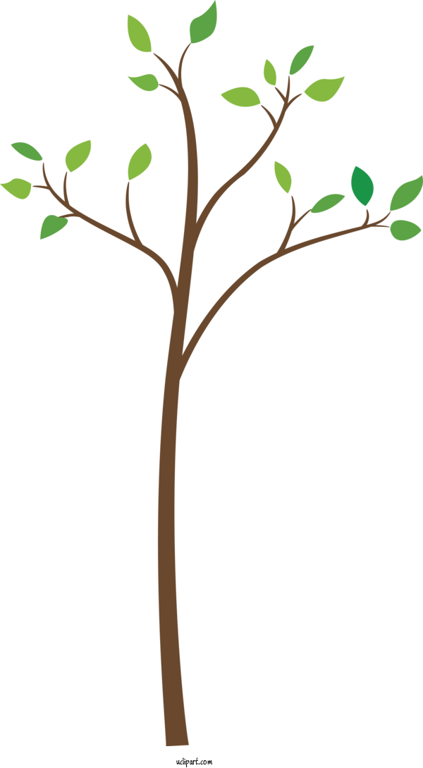 Free Nature Branch Plant Tree For Tree Clipart Transparent Background
