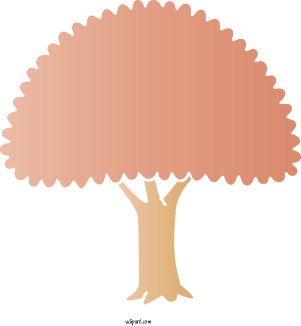 Free Nature Brown Baking Cup Tree For Tree Clipart Transparent Background