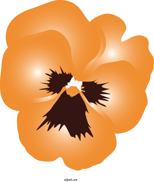 Free Flowers Orange Plant For Pansy Clipart Transparent Background