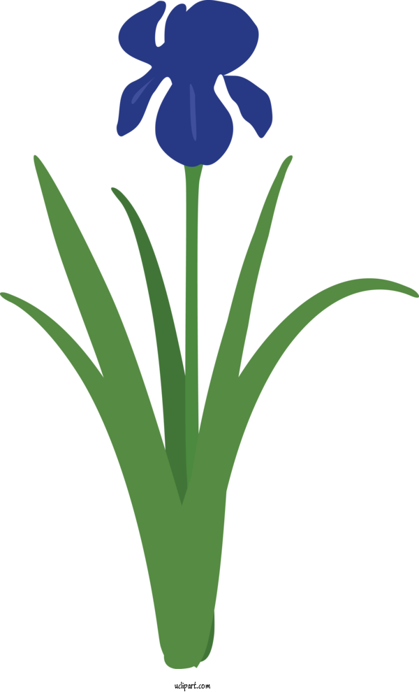 Free Flowers Flower Plant Iris For IRIS Clipart Transparent Background