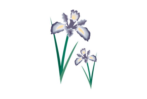 Free Iris Flower Plant Flora Clipart Clipart Transparent Background