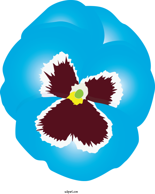 Free Flowers Plant For Pansy Clipart Transparent Background