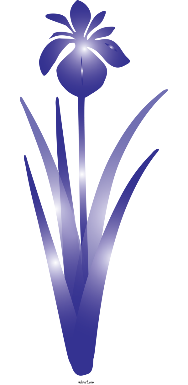 Free Flowers Cobalt Blue Logo Electric Blue For IRIS Clipart Transparent Background