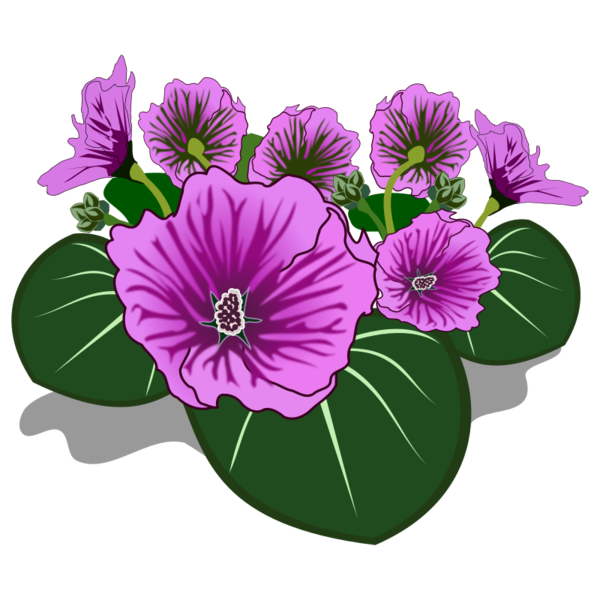 Free Pansy Flower Violet Plant Clipart Clipart Transparent Background