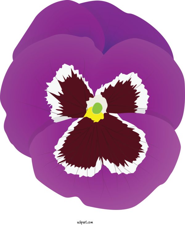 Free Flowers Violet Pansy Purple For Pansy Clipart Transparent Background
