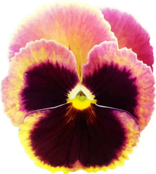 Free Pansy Flower Pansy Violet Clipart Clipart Transparent Background