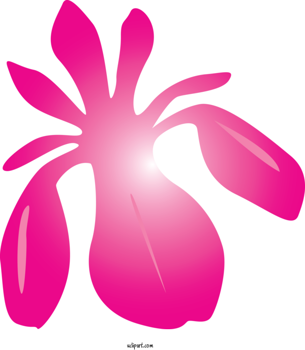 Free Flowers Pink Petal Magenta For IRIS Clipart Transparent Background