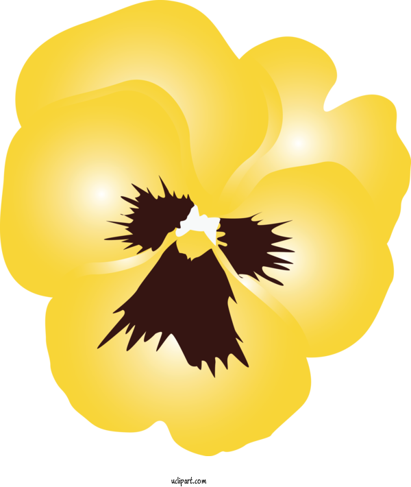 Free Flowers Yellow Plant Flower For Pansy Clipart Transparent Background