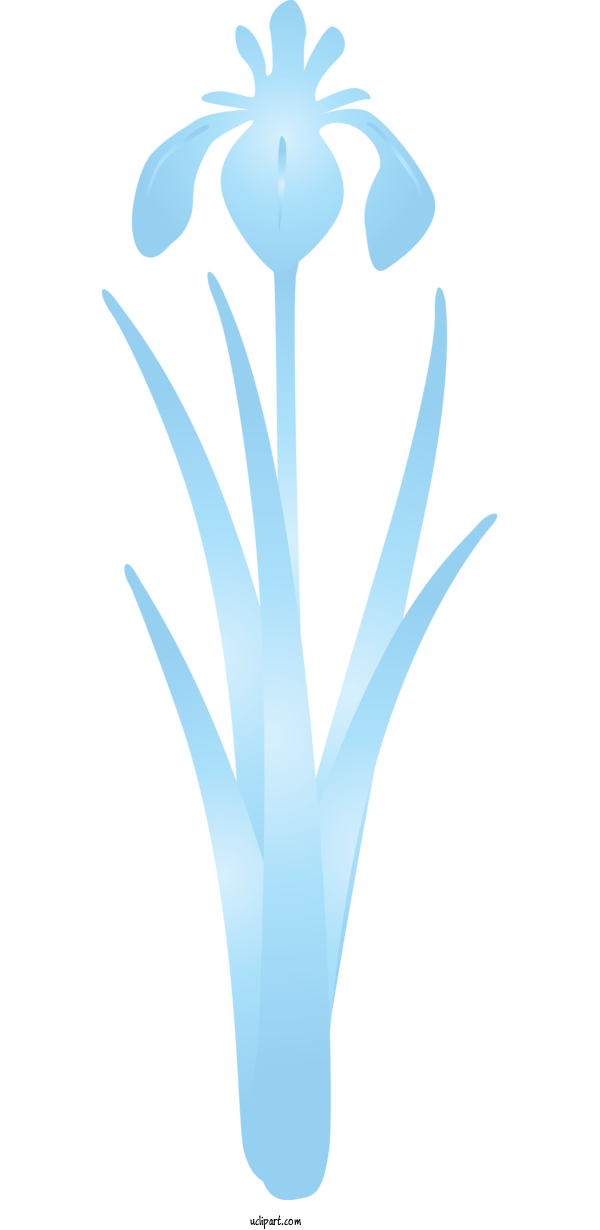 Free Flowers Aqua Turquoise Logo For IRIS Clipart Transparent Background