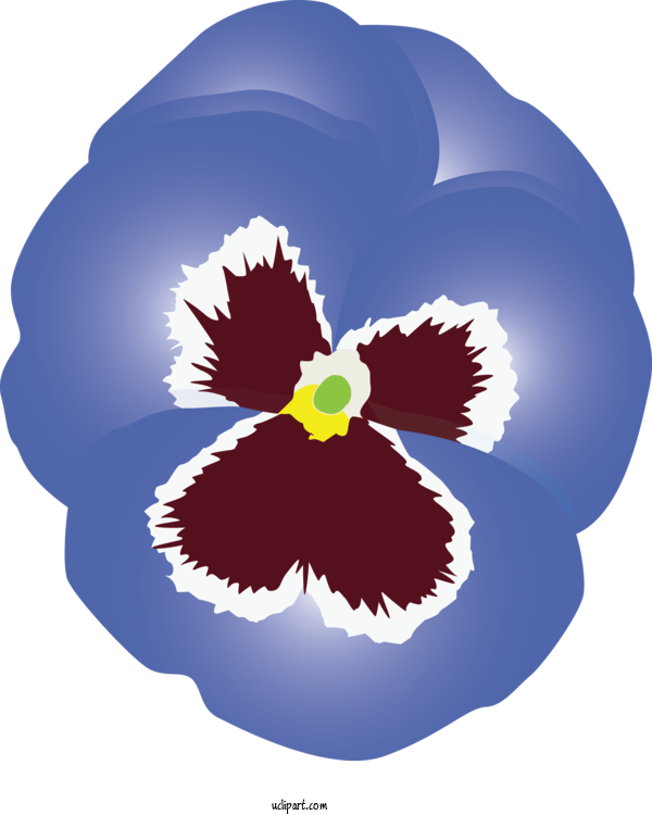 Free Flowers Flower Pansy Plant For Pansy Clipart Transparent Background