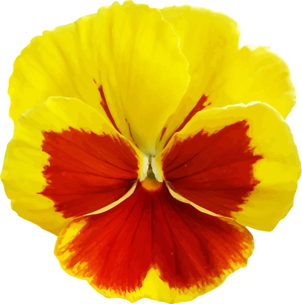 Free Pansy Flower Pansy Violet Family Clipart Clipart Transparent Background