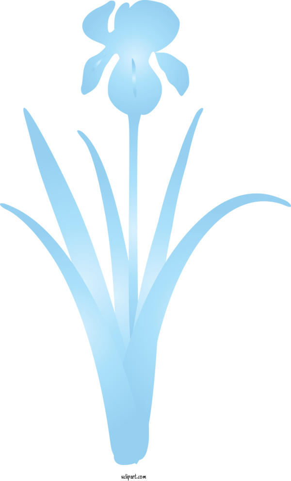 Free Flowers Blue Aqua Turquoise For IRIS Clipart Transparent Background