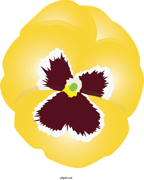 Free Flowers Yellow Flower Pansy For Pansy Clipart Transparent Background