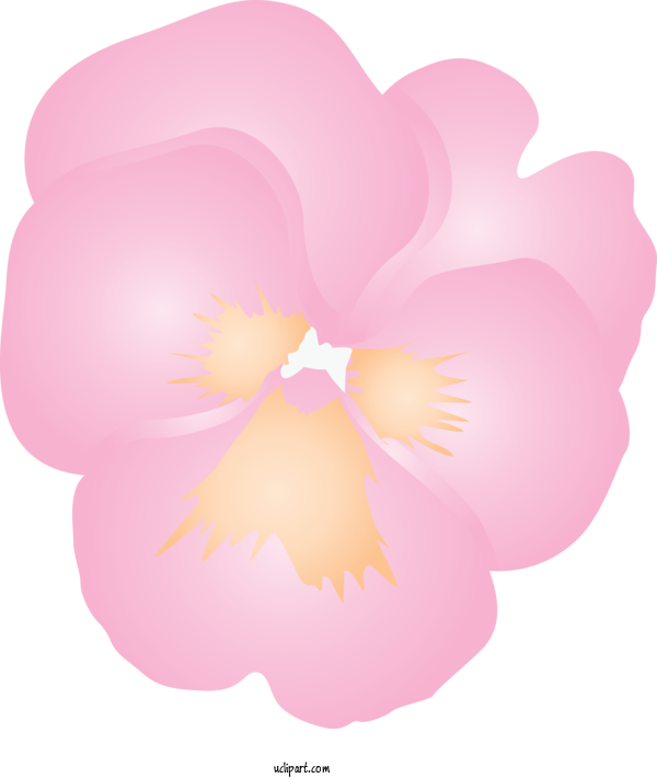 Free Flowers Pink Petal Flower For Pansy Clipart Transparent Background