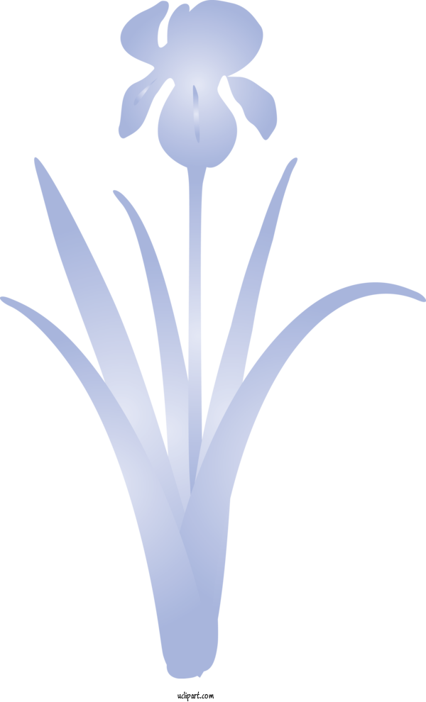 Free Flowers Plant Flower Petal For IRIS Clipart Transparent Background