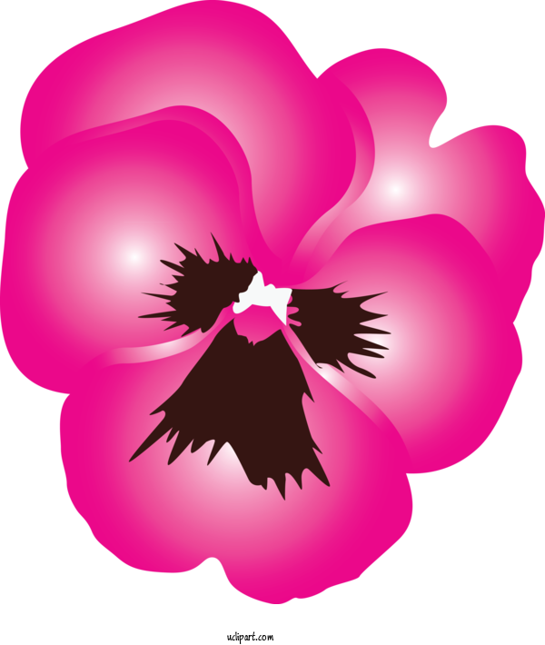 Free Flowers Pink Petal Plant For Pansy Clipart Transparent Background