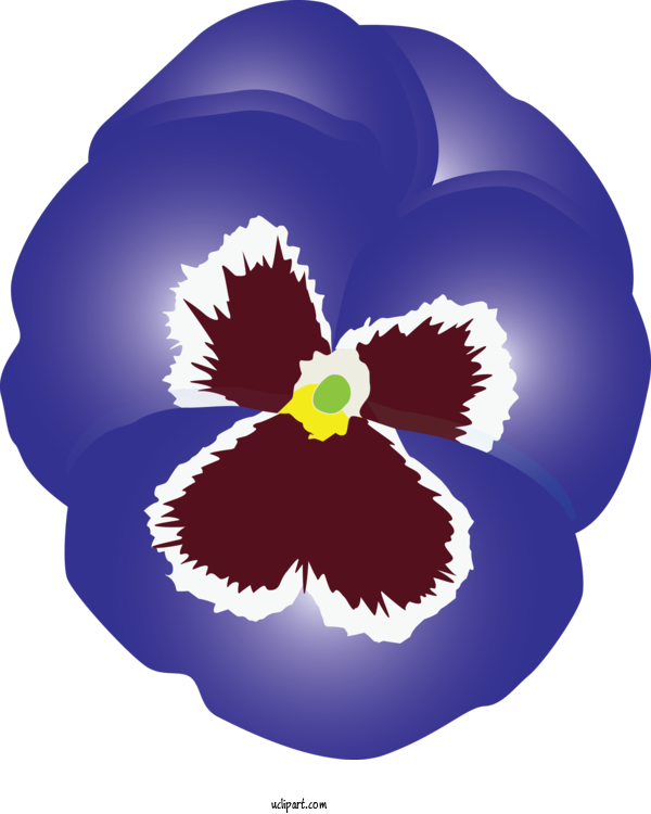 Free Flowers Pansy Flower Violet For Pansy Clipart Transparent Background