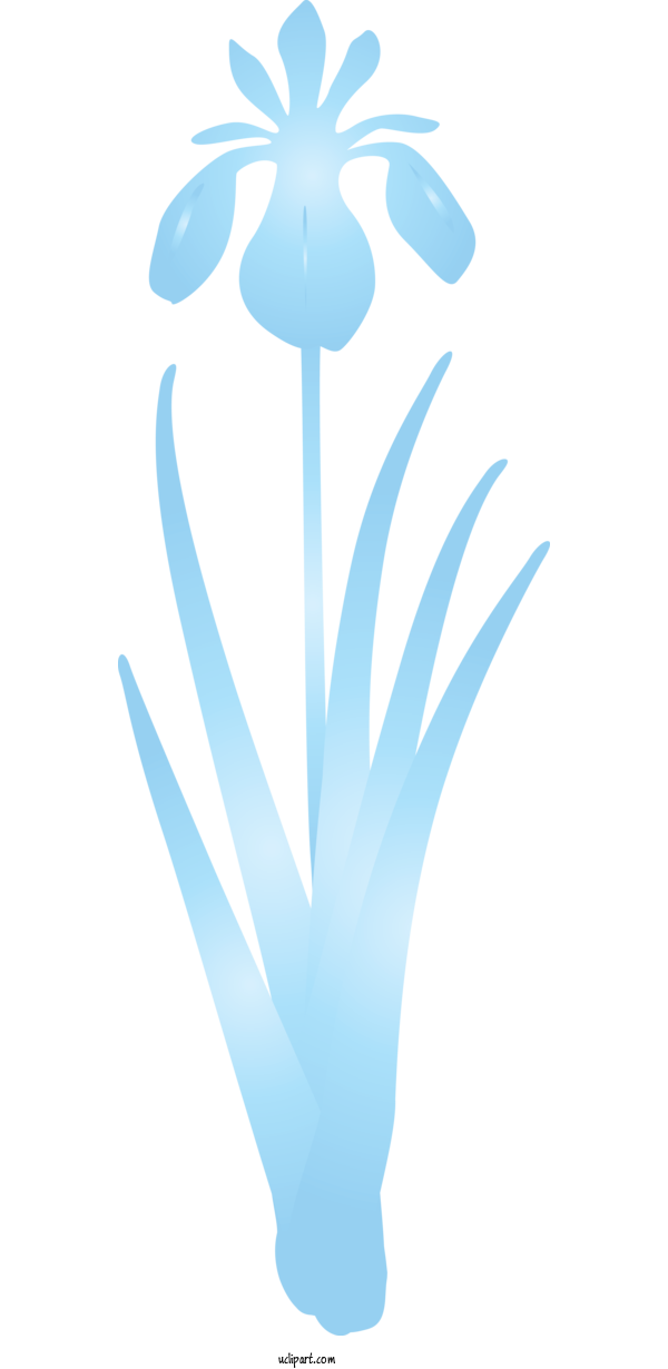 Free Flowers Turquoise Aqua Logo For IRIS Clipart Transparent Background