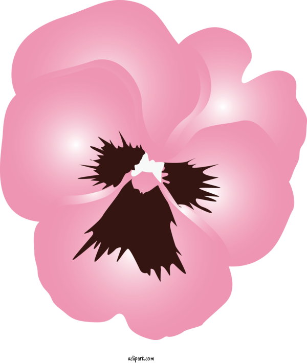 Free Flowers Pink Plant Flower For Pansy Clipart Transparent Background