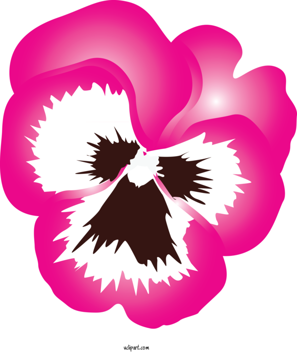 Free Flowers Flower Petal Violet For Pansy Clipart Transparent Background