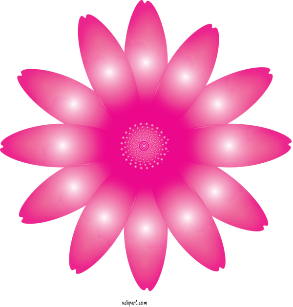 Free Flowers Petal Pink Flower For Marguerite Clipart Transparent Background