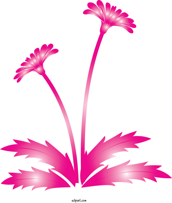 Free Flowers Flower Plant Pink For Dandelion Clipart Transparent Background