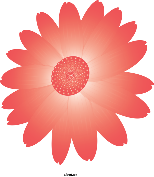 Free Flowers Petal Gerbera Red For Marguerite Clipart Transparent Background