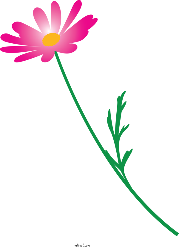 Free Flowers Pedicel Flower Chamomile For Marguerite Clipart Transparent Background