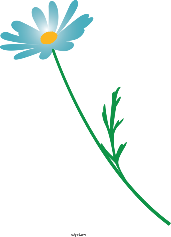 Free Flowers Chamomile Mayweed Flower For Marguerite Clipart Transparent Background
