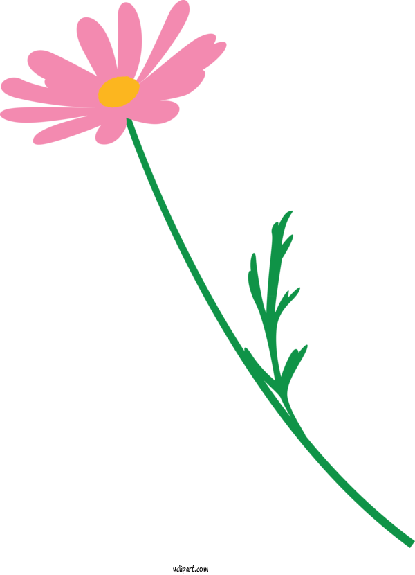 Free Flowers Flower Pedicel Chamomile For Marguerite Clipart Transparent Background
